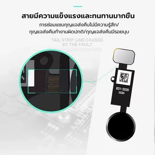 ปุ่มโฮม สำหรับกดกลับเมนู 5S SE 6 6Plus 6S 6S Plus 7 7Plus 8 8Plus
