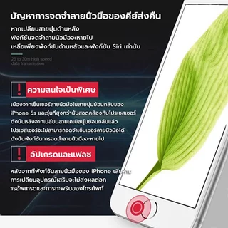 ปุ่มโฮม สำหรับกดกลับเมนู 5S SE 6 6Plus 6S 6S Plus 7 7Plus 8 8Plus