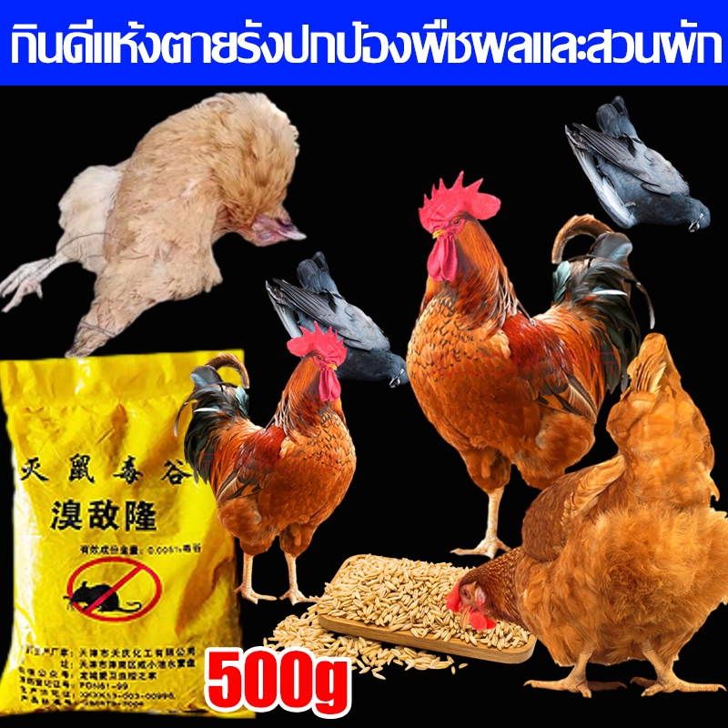 ฆ่าไก่ที่น่ารำคาญ เหยื่อกำจัดนก500g ยาเบื่อไก่ เหยื่อกำจัดนกพิราบ ยาเบื่อนก ยากำจัดนกพิราบ ยาฆ่านก ยาเบือหนู