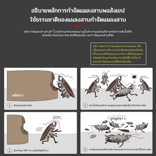 แมลงสาบหายไป ยาฆ่าแมลงสาบกำจัดแมลงสาบ ยากำจัดแมลงสาบ ไล่แมลงสาบ ฆ่าแมลงสาบต่อเนื่อง ตายทั้งรัง