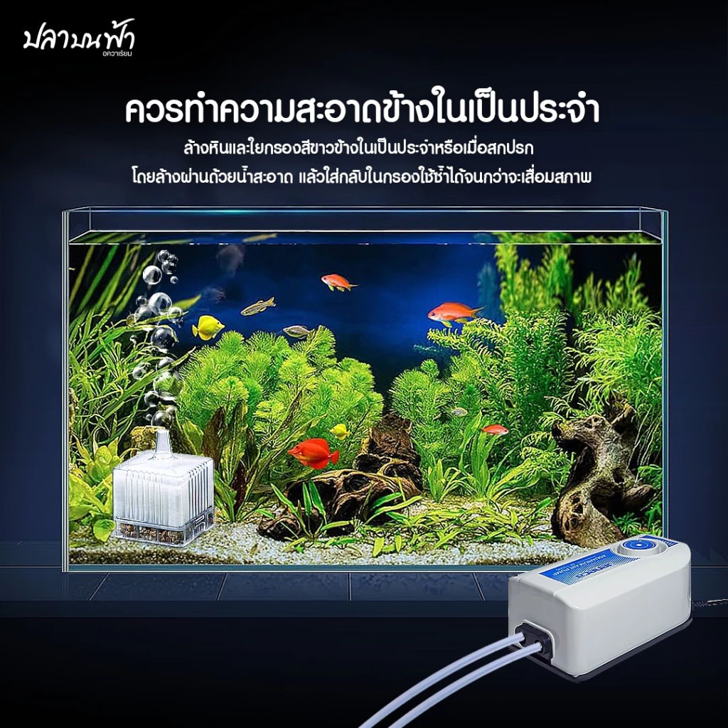 กรองสี่เหลี่ยม ประหยัดพื้นที่ พร้อมระบบกรอง ดักจับสิ่งสกปรกภายในตู้ปลา ใช้งานง่ายแค่เสียบปั๊มลมออกซิเจน เครื่อง พ่น thumbnail 6