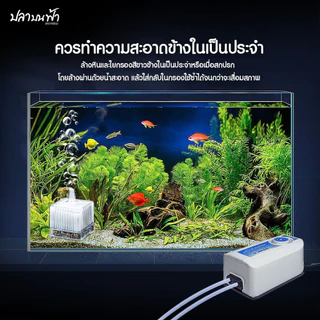 กรองสี่เหลี่ยม ประหยัดพื้นที่ พร้อมระบบกรอง ดักจับสิ่งสกปรกภายในตู้ปลา ใช้งานง่ายแค่เสียบปั๊มลมออกซิเจน เครื่อง พ่น