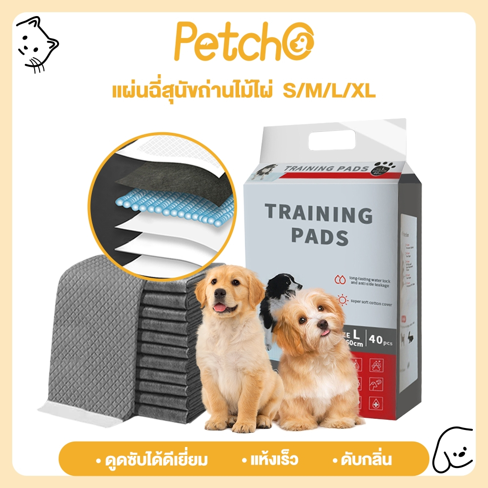 Petcho แผ่นรองฉี่ชาโคล แผ่นรองฉี่สุนัข แผ่นรองฉี่แมว การดูดซับน้ำ6ชั้น เก็บกลิ่น ระงับกลิ่นได้ดี Dog Training Pads