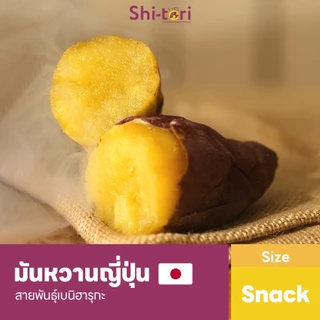Shi-Tori | มันหวานญี่ปุ่น เบนิฮารุกะ Packsize 1kg. / 2kg. /3kg. กลิ่นหอม รสชาติหวาน เนื้อฉ่ำ