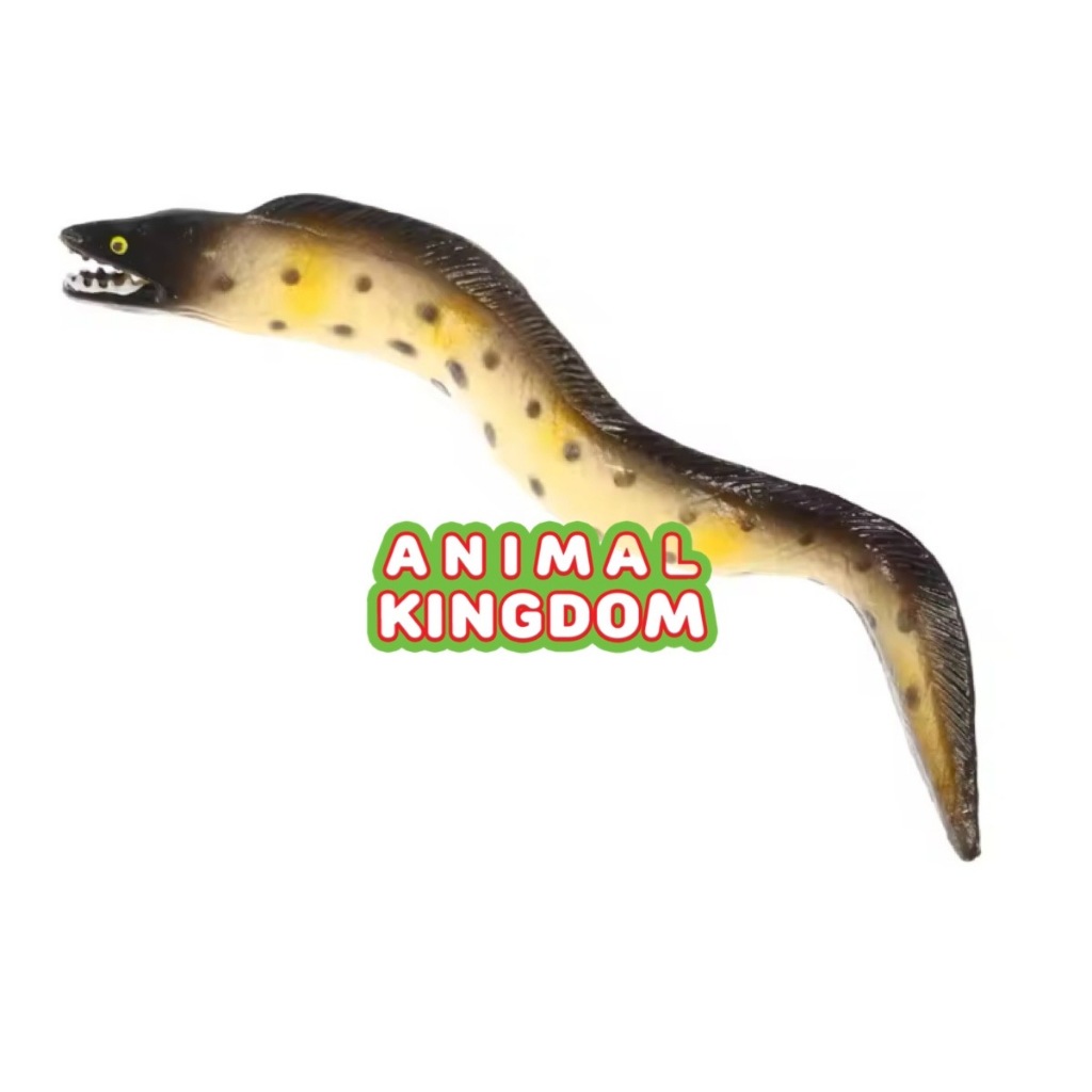 Animal Kingdom โมเดลสัตว์ Eel ปลาไหล มอเรย์ ครีม ขนาด 14.00 CM (จากหาดใหญ่)