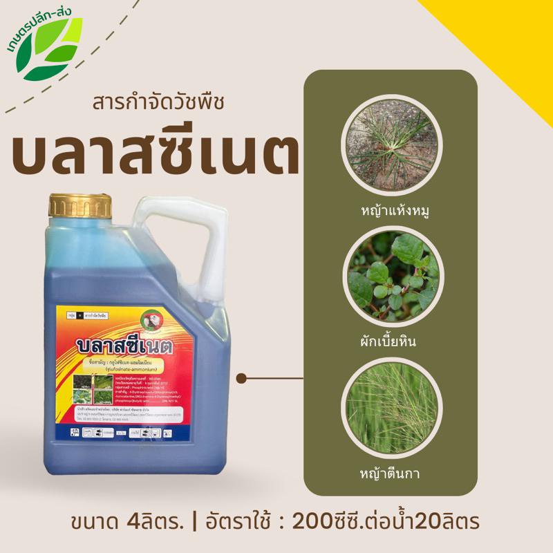 บลาสซีเนต (ขนาด 4 ลิตร) กลูโฟซิเนต-แอมโมเนียม สารกำจัดวัชพืชใบแคบและใบกว้าง เช่น หญ้าตีนกา ผักโขม หญ้านกสีชมพูลูกโต้โบ