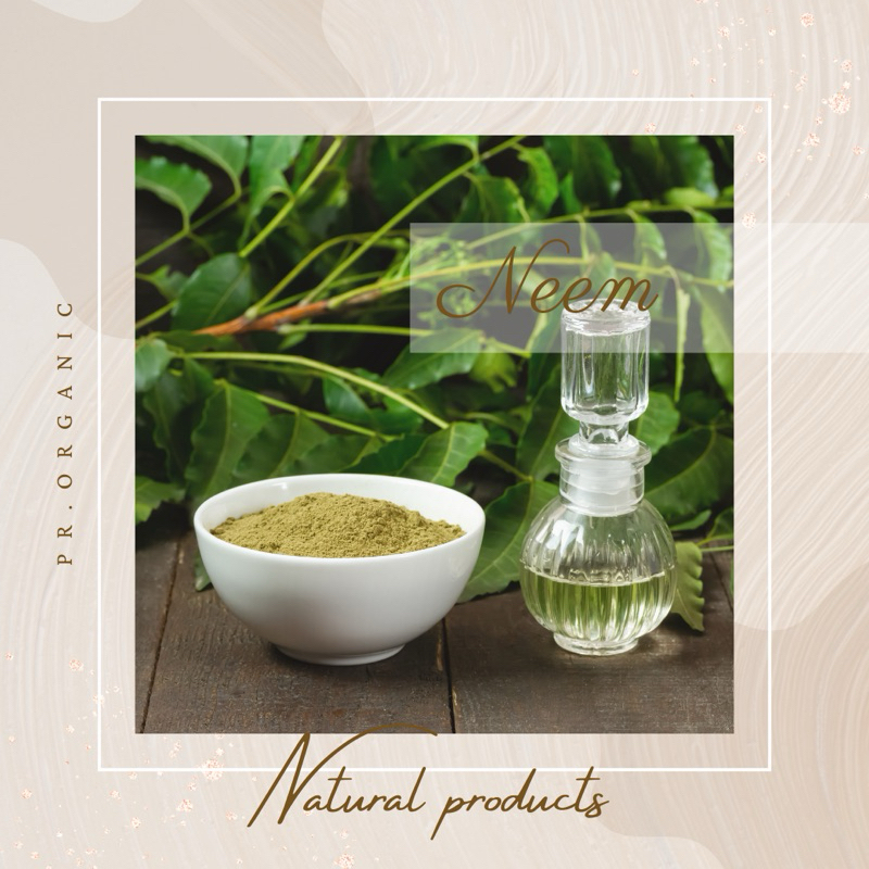 น้ำมันสะเดา Neem Oil บำรุงผิว บำรุงผมและหนังศรีษะ แก้ผดผื่นคัน ชันตุ 85 ml. - รูปที่ 2