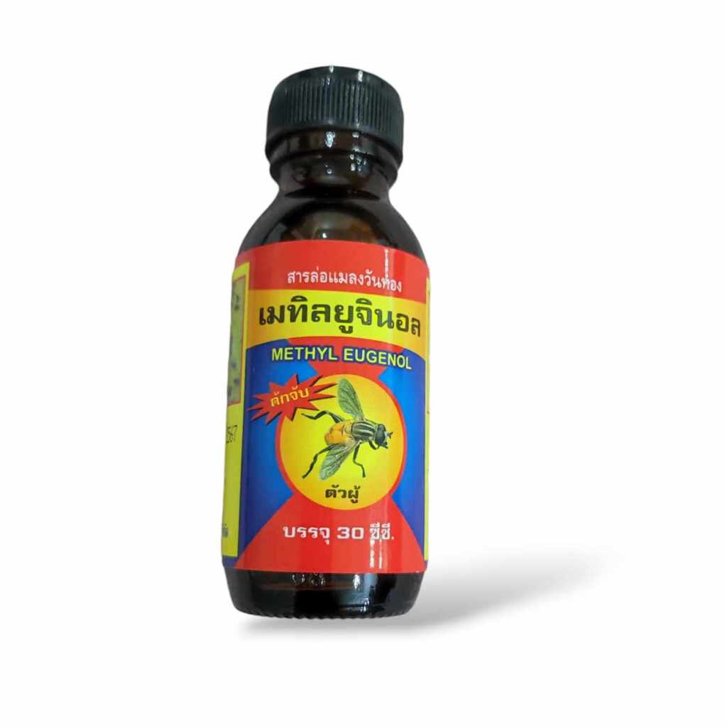 สารล่อแมลงวันทอง เมทิลยูจินอล (METHYL EUGENOL) ดักจับแมลงวันทอง ขนาด 30 ซีซี