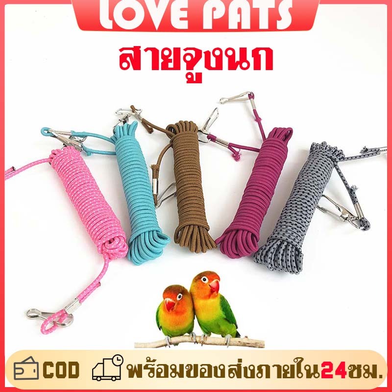 สายจูงนก สายคล้องนก เชือกผูกนกหัดบิน เชือกผูกนกหัดบิน แบบยืดหยุ่น 3เมตร ใช้กับห่วงเปิดนกได้