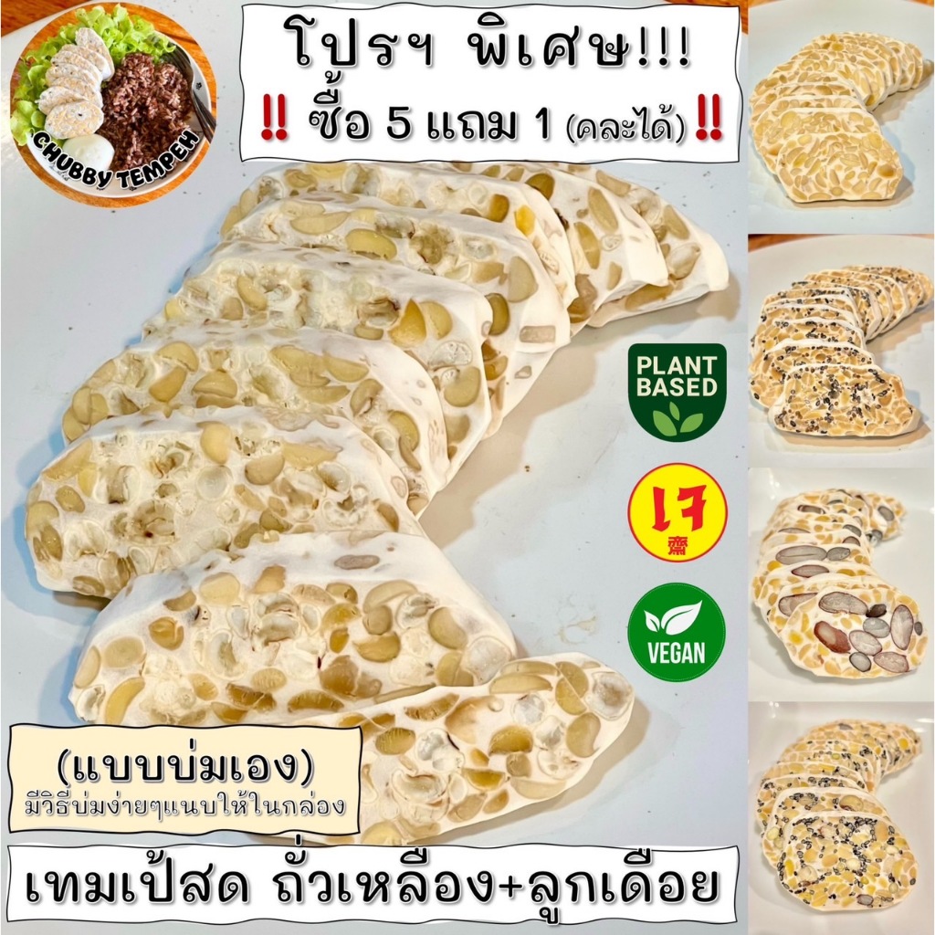 เทมเป้สด(แบบบ่มเอง) ถั่วเหลือง+ลูกเดือย✨(5แถม1)✨100g #Tempeh #โปรตีนจากพืช #เจ #PlantBased