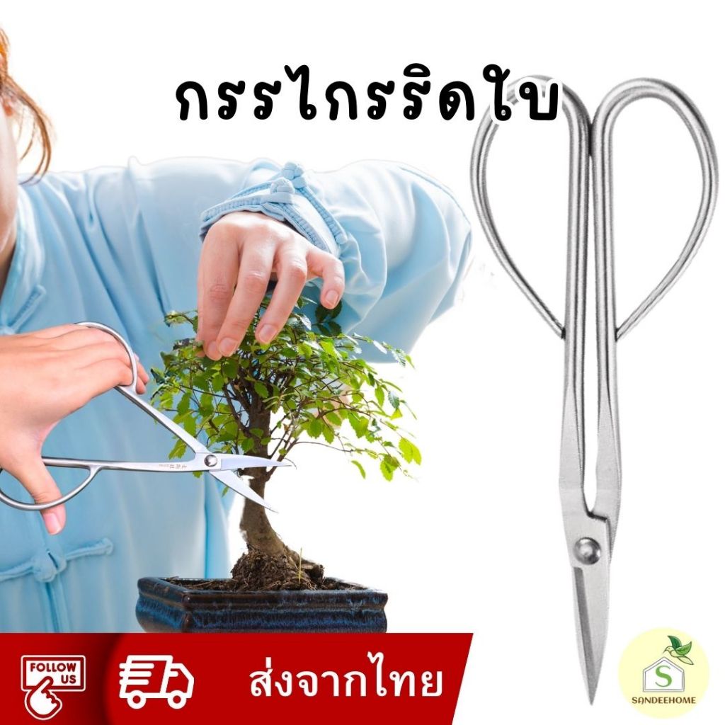 กรรไกรบอนไซ พรีเมี่ยมอย่างดี กรรไกรริดใบ ตัดกิ่งไม้ สแตนเลส เหล็ก ญี่ปุ่น