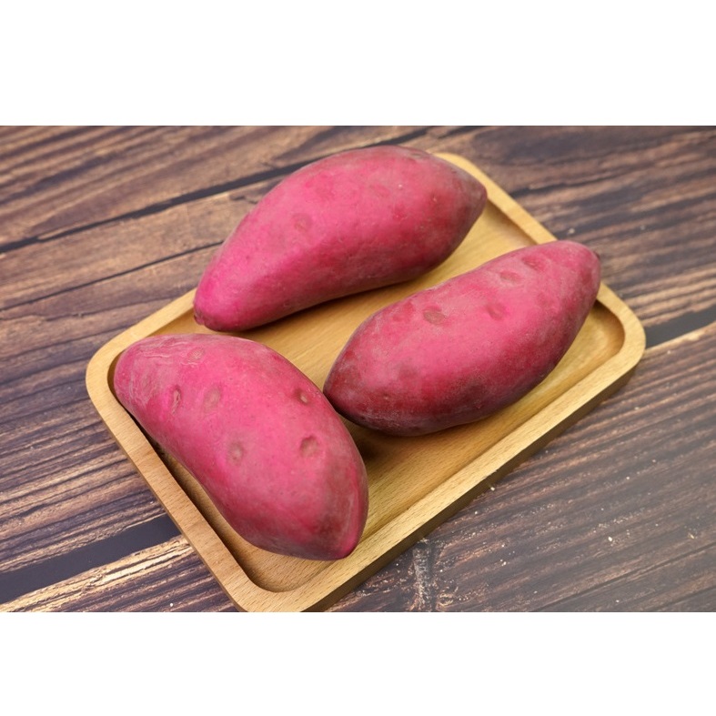 VE-21พร้อมส่งจากไทย มันม่วงญี่ปุ่นปลอม 12*5 cm.