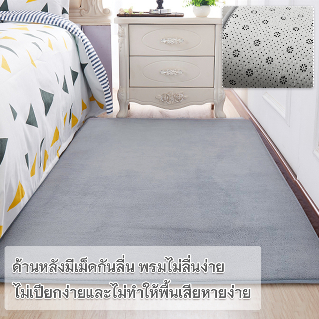 พรมปูพื้นห้อง พรมมินิมอล พรมตกแต่ง พรมขนสั้น วัสดุขนแกะปะการัง พรม 5 ฟุต 6 ฟุต รูปที่ 2