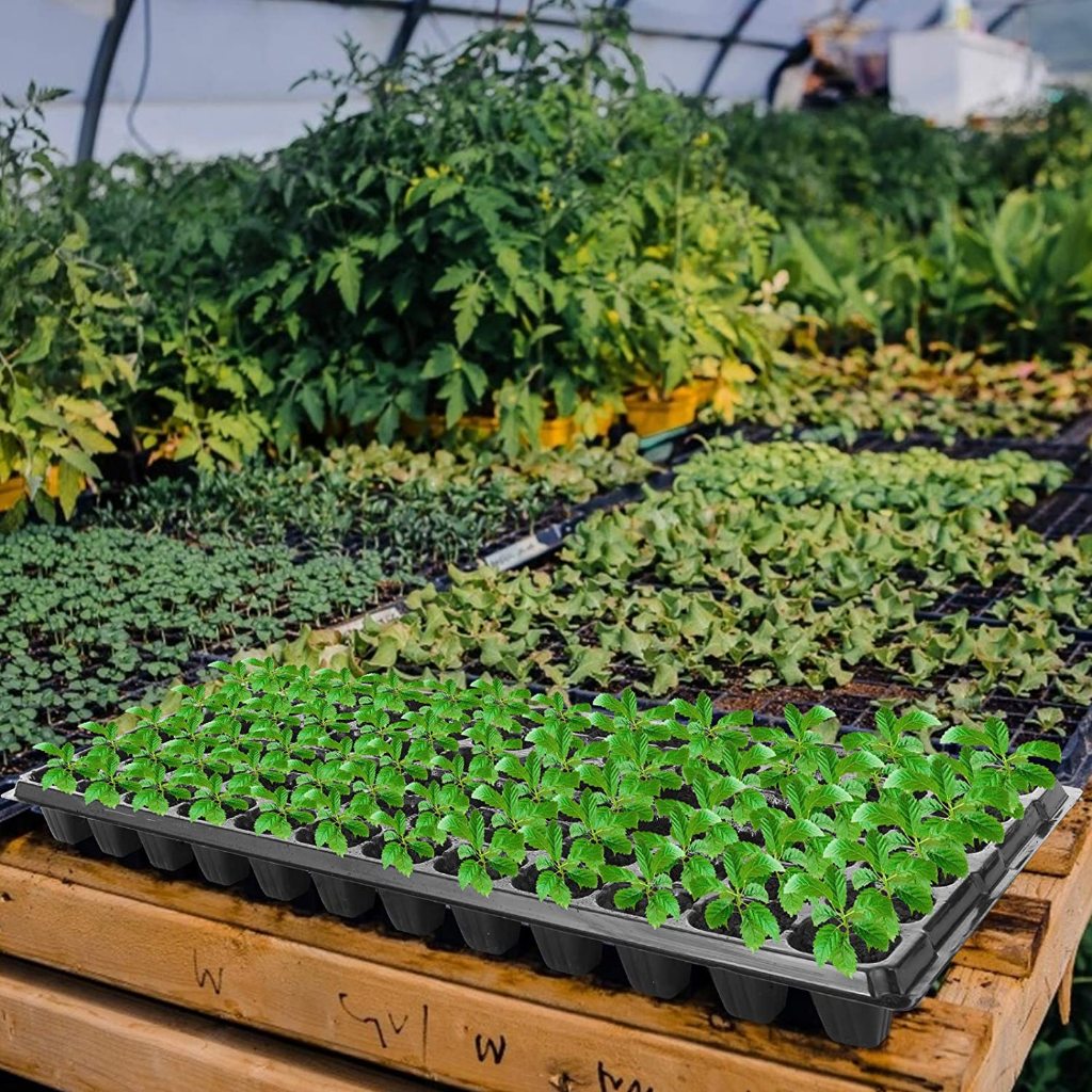 ถาดเพาะกล้า 1.0 มม ถาดเพาะชำ 20ใบ/10ใบ ถาดเพาะเมล็ด 50/72/105/128/200 หลุม ถาดเพาะกล้า