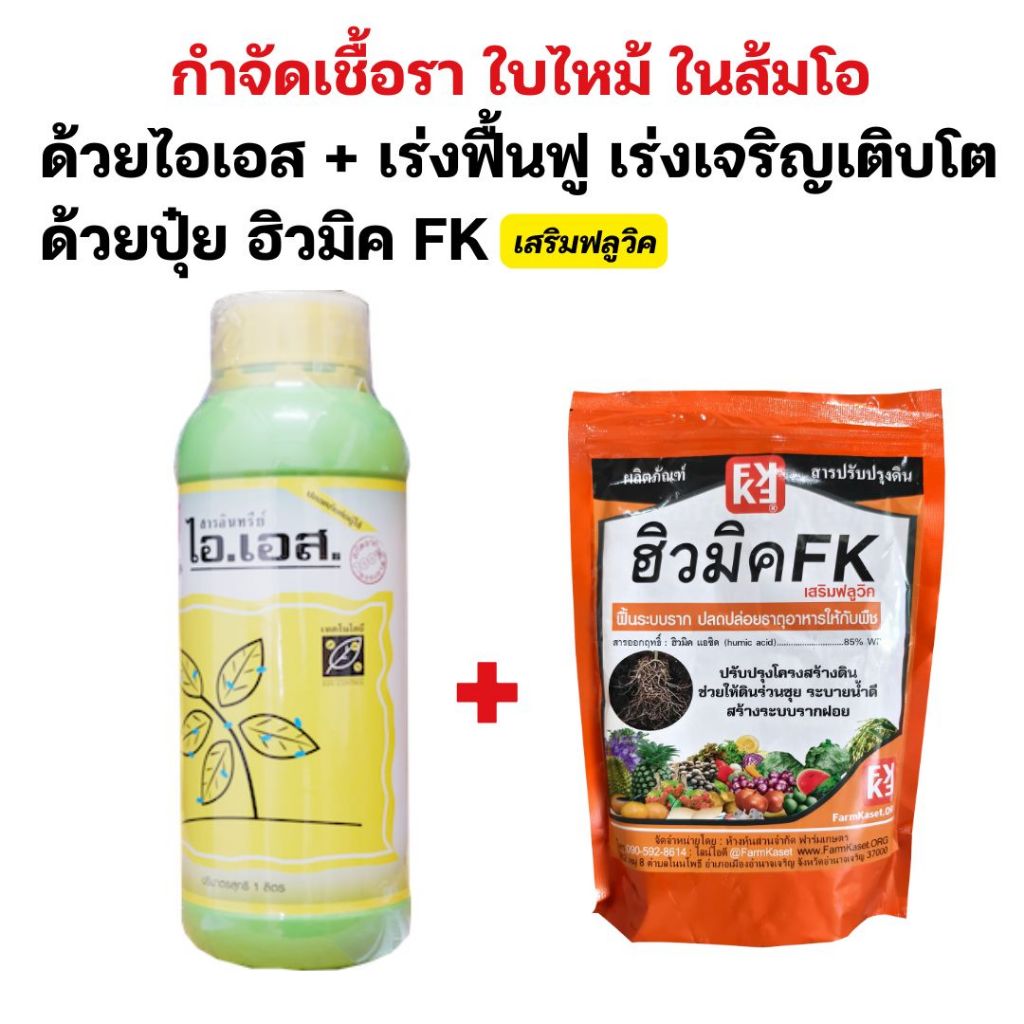 แก้ใบไหม้ แก้ราในต้นส้มโอ ได้ตรงจุด ไอเอส ฟื้นฟูพืช แข็งแรง ดินดี ดูดซึมธาตุอาหารได้ดี ปุ๋ยฮิวมิคFK