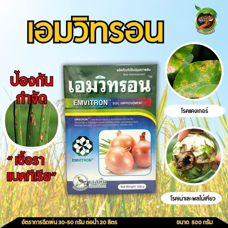 เอมวิทรอน ขนาด 500กรัม ป้องกันกำจัดเชื้อรา แบคทีเรีย ไวรัส