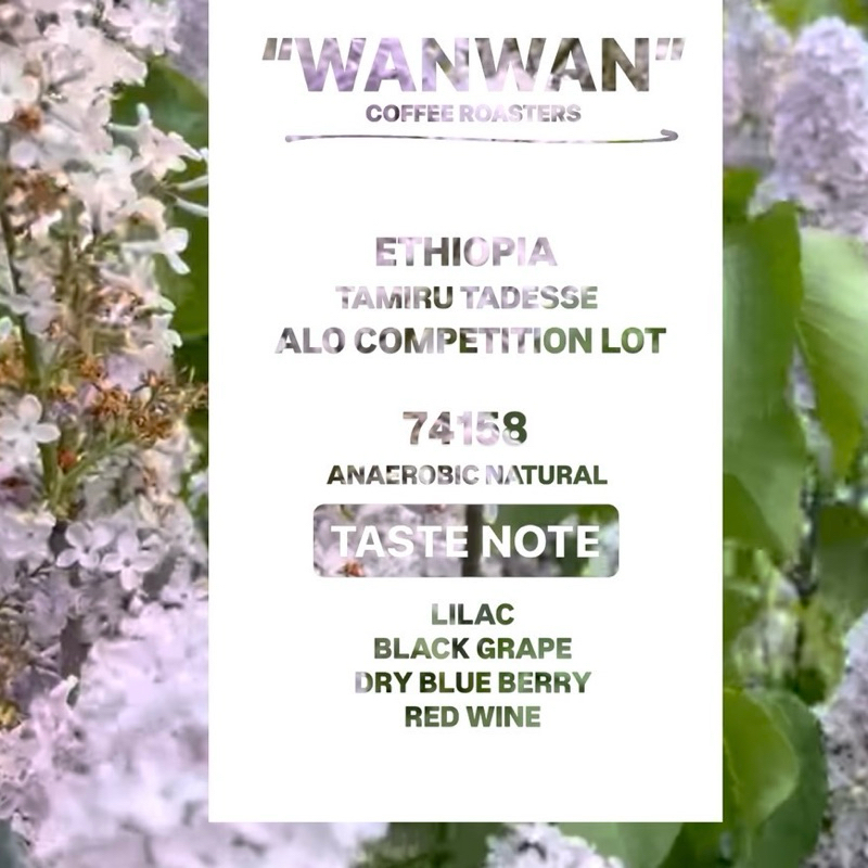 WANWAN Single origin (ALO Coffee)