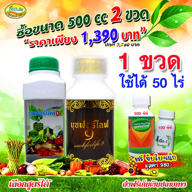 นุชฟอร์ไลฟ์1+นุช9 ขนาด500cc แถมสารจับใบ500cc 1 ขวด+เน็กเล็ก 1 ขวด (เลือกสูตรได้)