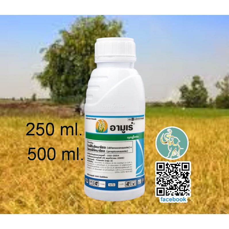อามูเร่ 250ซีซี-500ซ๊ซ๊ (ไดฟีโนโคลนาโซล+โพรพิโคนาโซล) ป้องกันโรคเมล็ดด่างในนาข้าว