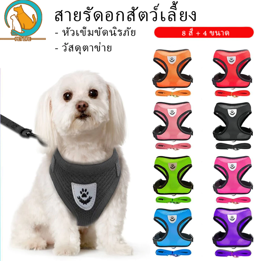 สายรัดอกสัตว์เลี้ยงสายจูงแมวรัดอก จูงหมา สําหรับสัตว์เลี้ยง สุนัข แมว กระต่าย ขนาดเล็ก เสื้อจูงแมว ผ้าตาข่าย พร้อมสายจูง