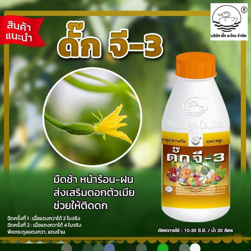 ดั๊กจี-3(สูตรแปลง เพศ)ทำให้ดอกสมบูรณ์เพศ ติดดอกง่าย ออกดอกเยอะ