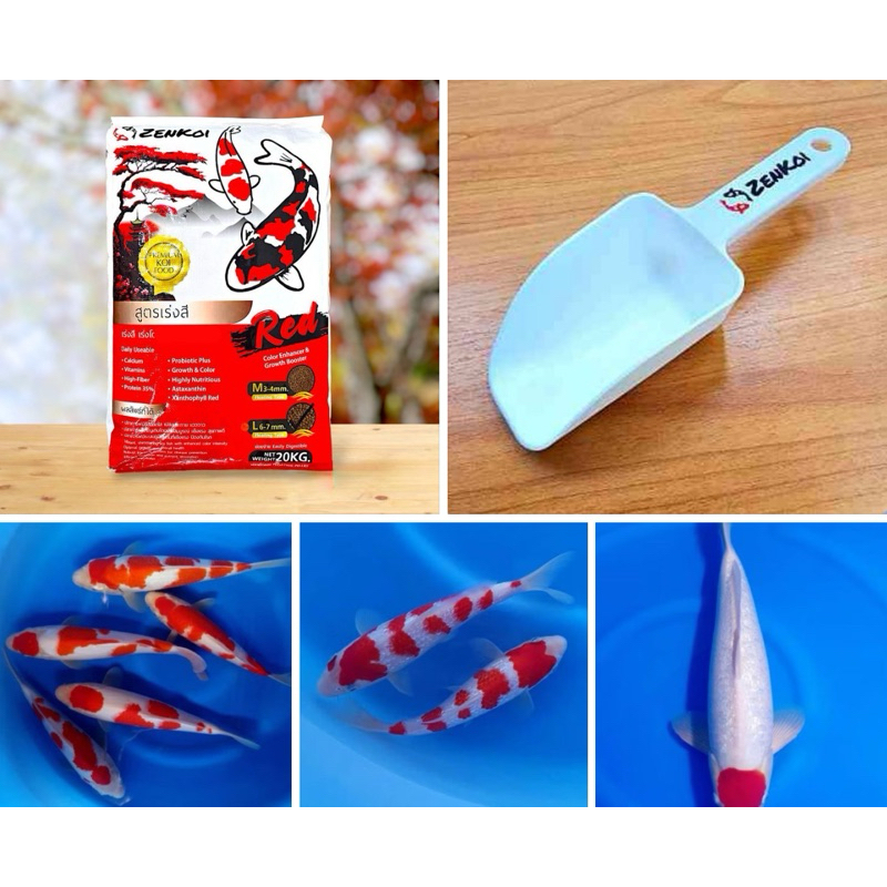 ลด20% ZenKoi Pro 3in1 บรรจุ20kgแถมช้อน สีส้ม สูตรเร่งสี เร่งโตเสริมภูมิคุ้มกัน ครบจบในถุงเดียว สำหรับปลาคาร์ฟ ปลาสวยงาม