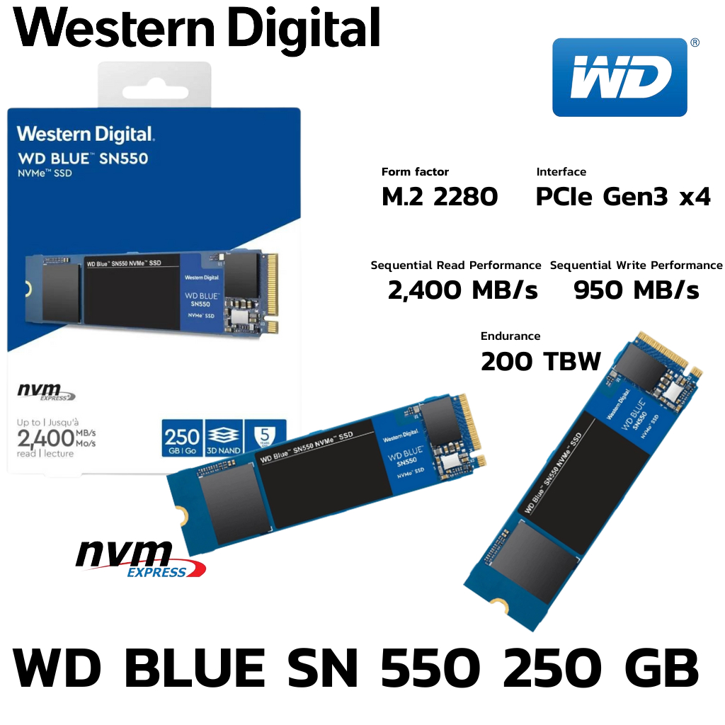 WD BLUE SN550 250GB SSD M.2 NVMe GEN3 ประกันไทย Synex