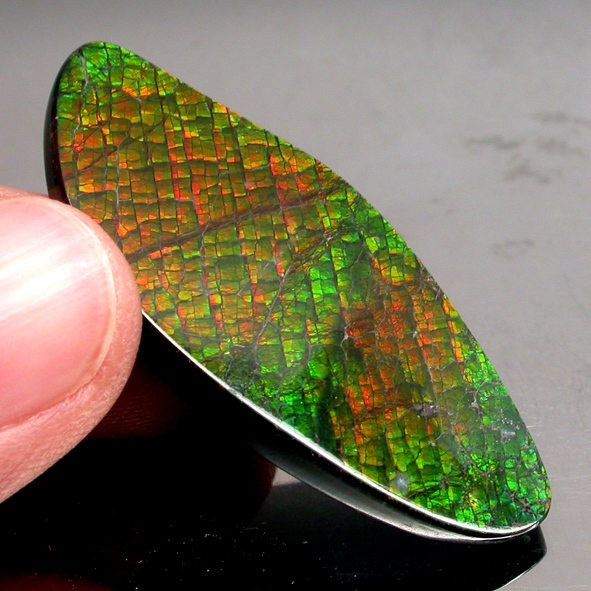Ammolite แอมโมไลต์ (Ammolite) อัญมณีโลกล้านปีสุดหายาก อัญมณีนำโชค อัญมณีสะสม