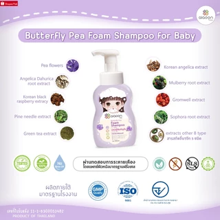 ไออุ่น แชมพูโฟมอัญชันเด็ก 300ml. (aiaoon Butterfly Pea Foam Shampoo for Baby)