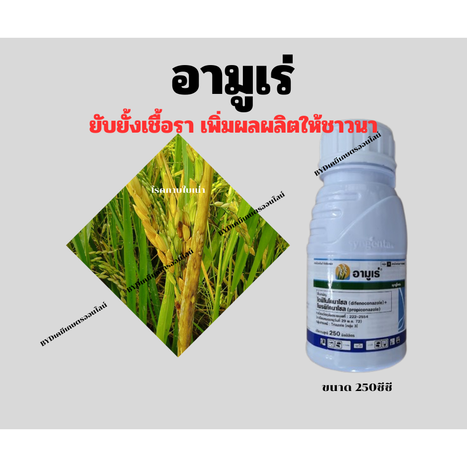 อามูเร่ ขนาด250ซีซี  สารไดฟีโนโคนาโซล+โพริพิโคนาโซล สุดเข้มข้น ตัวจริง ปกป้องคุมครองนาข้าวจากโรคพืชและเพิ่มผลผลิต - รูปที่ 2