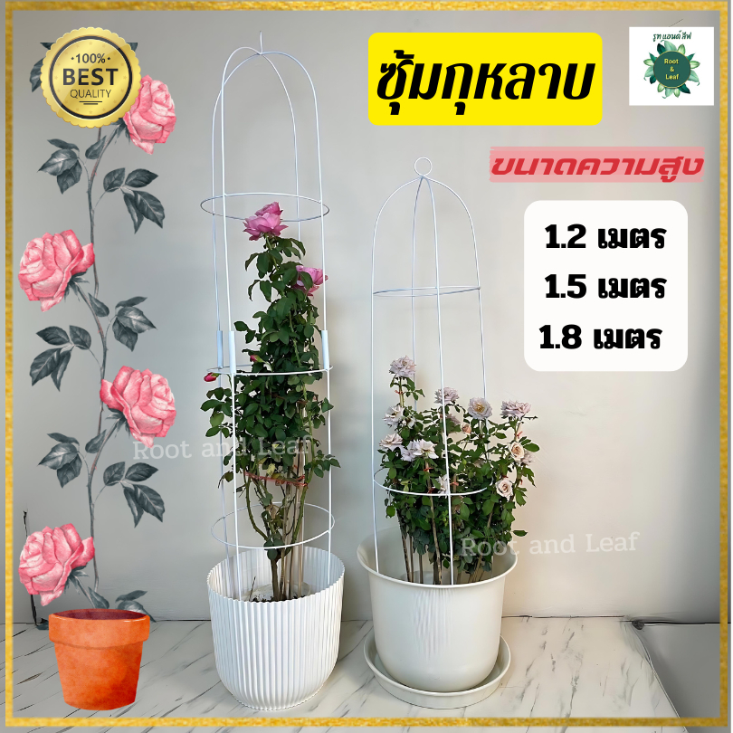 ซุ้มกุหลาบ ซุ้มกุหลาบเลื้อย โครงกุหลาบเลื้อย ซุ้มไม้เลื้อย เหล็กทนทาน