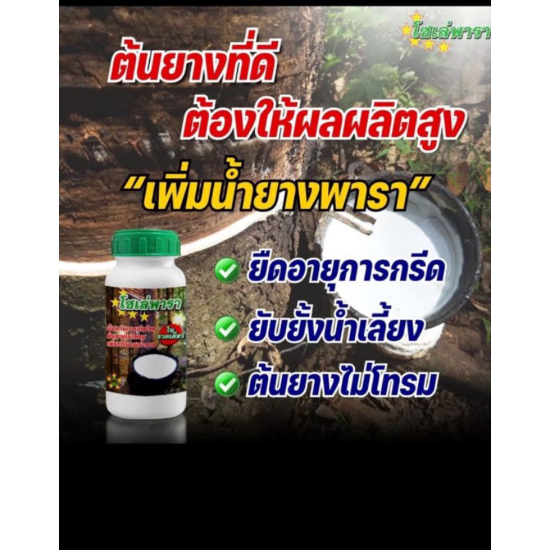 โซเล่พารา ขนาด500 CC ของแท้100%