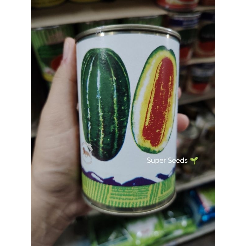เมล็ดพันธุ์แตงไทยยาว สิงห์โต ขนาด 30 กรัม