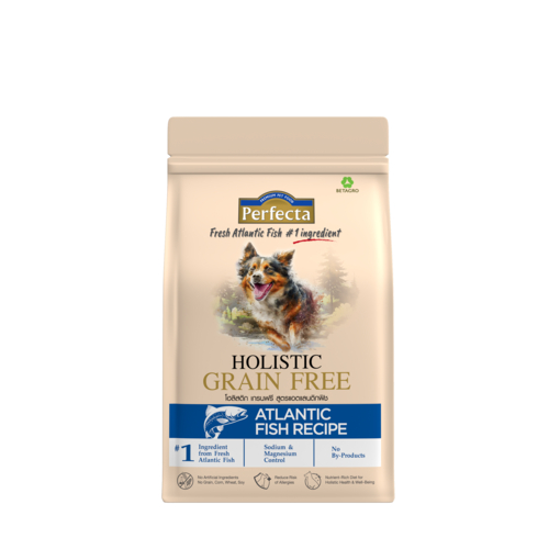 PERFECTA HOLISTIC GRAIN FREE สุนัขโต สูตร Atlantic fish 2.5 KG