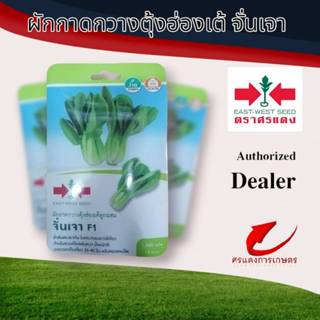 ผักซองศรแดงกวางตุ้งฮ่องเต้จั่นเจา n