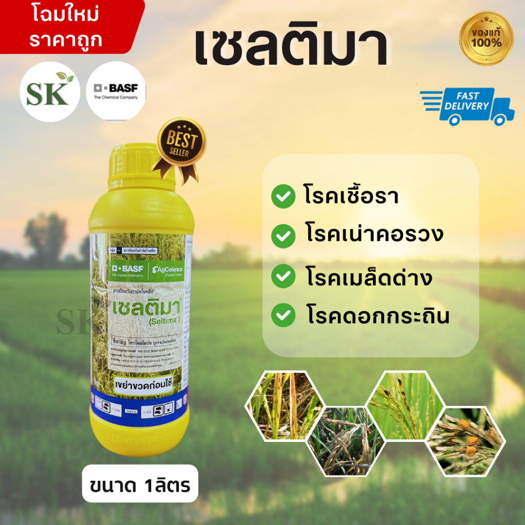 เซลติมา (ไพราโคลสโตรบิน) ป้องกันเชื้อราเมล็ดด่างในนาข้าว ขนาด 1ลิตร