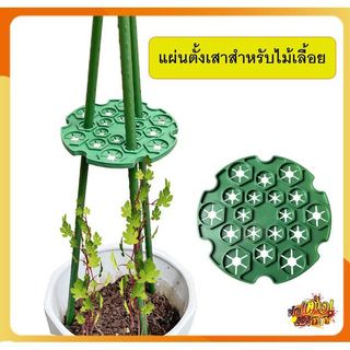 ใหม่! แผ่นสำหรับตั้งเสาไม้เลื้อย