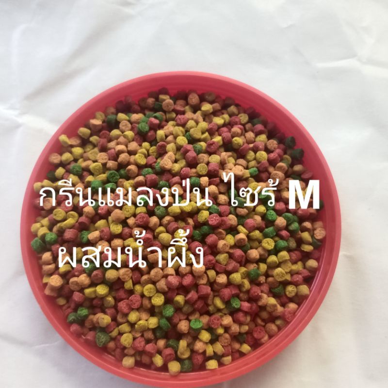 อาหารนกกรงหัวจุก กรีนบาลานซ์แมลงป่น ไซร้ M สูตรร้องริก กินได้ทุกวัน