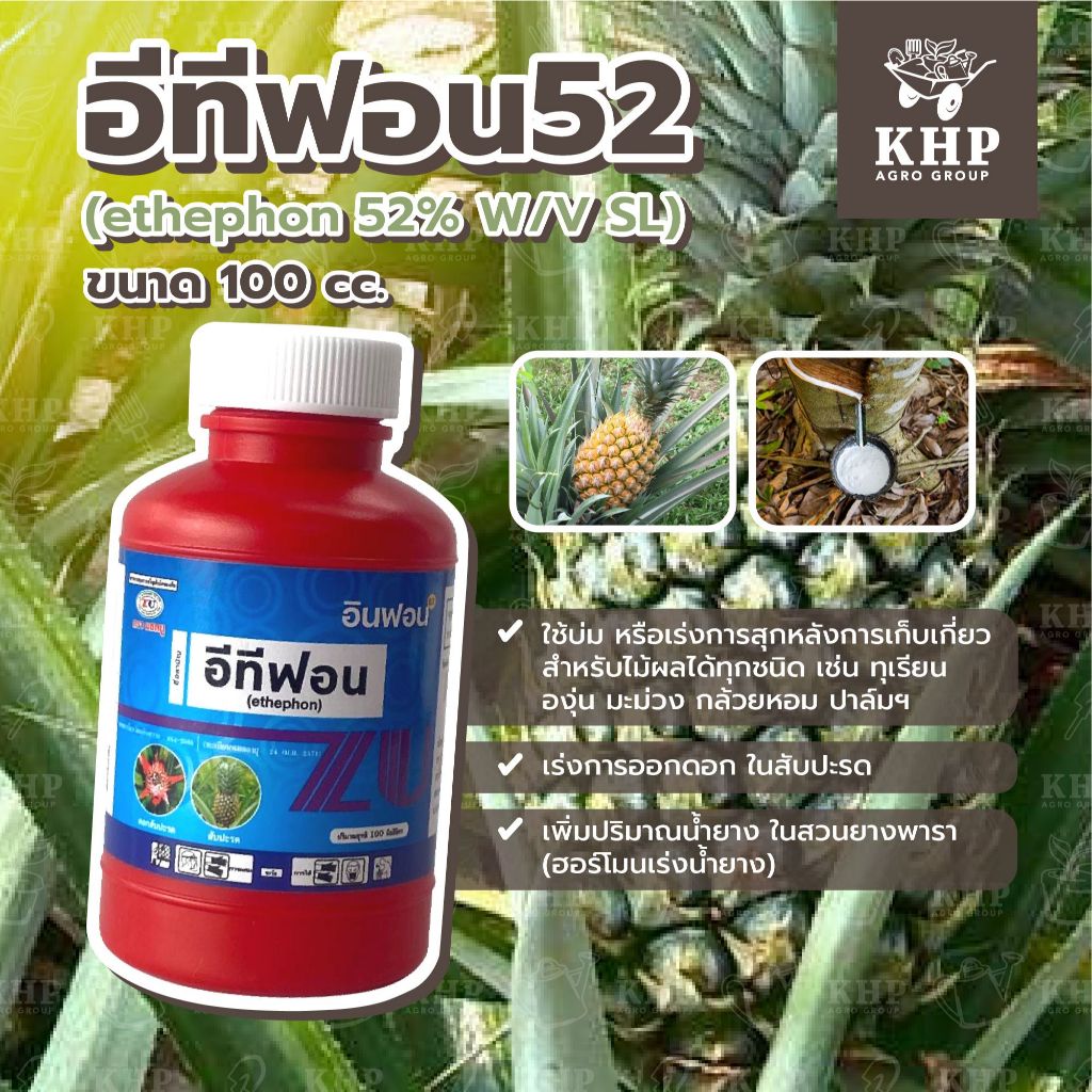 ⭐️ อีทีฟอน52 แซดยู ⭐️ สูตรเข้มข้น เร่งการสุก ป้ายขั้ว บ่มผลไม้ ทุเรียน เร่งดอก ยาหยอดสับปะรด เร่งน้ำยางพารา 100 cc