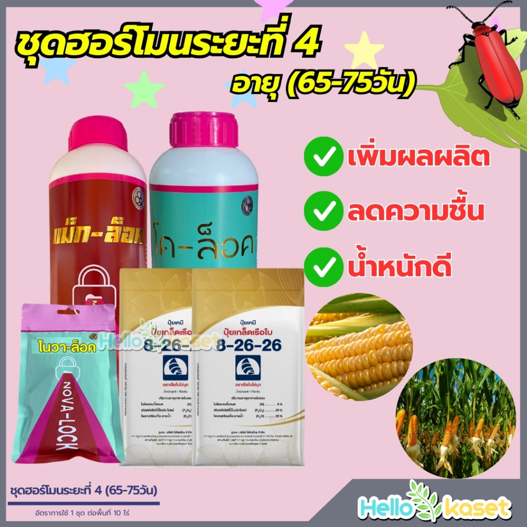 ชุดเร่งแป้ง เพิ่มน้ำหนัก ข้าวโพด 1ชุด 10 ไร่ แม็ค 1+โค 1+ปุ๋ย8-26-26=2โล+โนวา 1