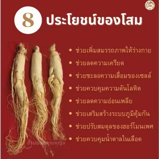 โสมสด โสมภูเขาชางไบ เสริมภูมิคุ้มกัน บำรุงร่ายกาย โสมสดชนิดพิเศษ แช่ในเหล้าโสม ขนาด 15-50g
