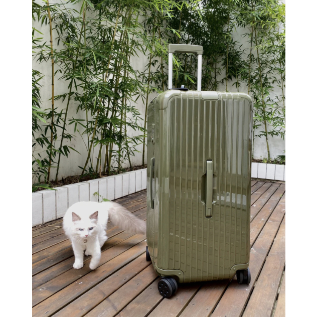 RIMOWA Essential Trunk 33 inches cactus green suitcase