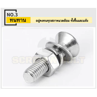 (ยกชุด) น็อต สกรู หัวเตเปอร์ แฉก F ตัวเมีย+แหวน สแตนเลส 304 เกลียวมิล M2 M2.5 / (Set) Flat Head