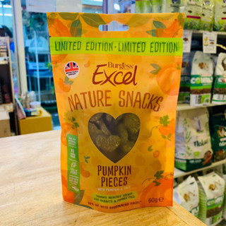 Burgess Excel Seasonal Snacks Pumpkin Pieces 60g