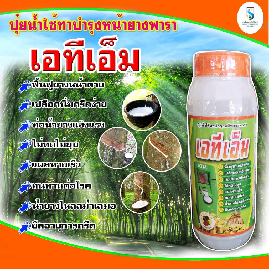 ยาทาหน้ายาง เอทีเอ็ม (1000ซีซี)