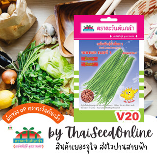 ADV ซฟ เมล็ดพันธุ์ ถั่วพู จอมทอง ตราตะวันต้นกล้า V20