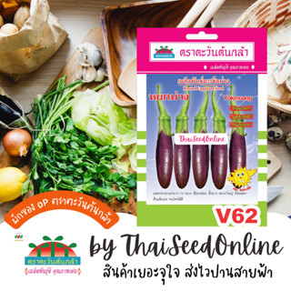 ADV ซฟ เมล็ดพันธุ์ มะเขือม่วง หยดม่วง ตราตะวันต้นกล้า V62