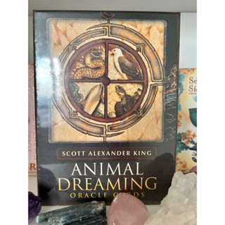 ไพ่ออราเคิลแท้ Animal Dreaming Oracle Cards