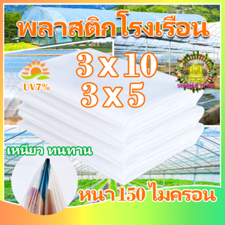 พลาสติกโรงเรือน พลาสติกคลุมโรงเรือน พลาสติกใส กันฝนgreenhouse UV7% หนา150ไมครอน พลาสติกปูบ่อ โรงเรือนแคคตัส กันสาด 3×10