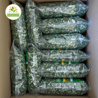 ใบเตยอบแห้ง 50-250 กรัม คุณภาพ A+ มาตรฐาน GMP สมุนไพร Dried Pandan Leaf Top Quality ตรา ชาดาสุวรรณ์ Chadasuwanna